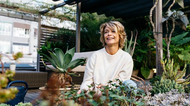 Sanitas Premium 500.000